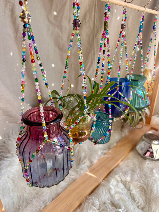 Cintres de propagation de plantes en perles de verre 