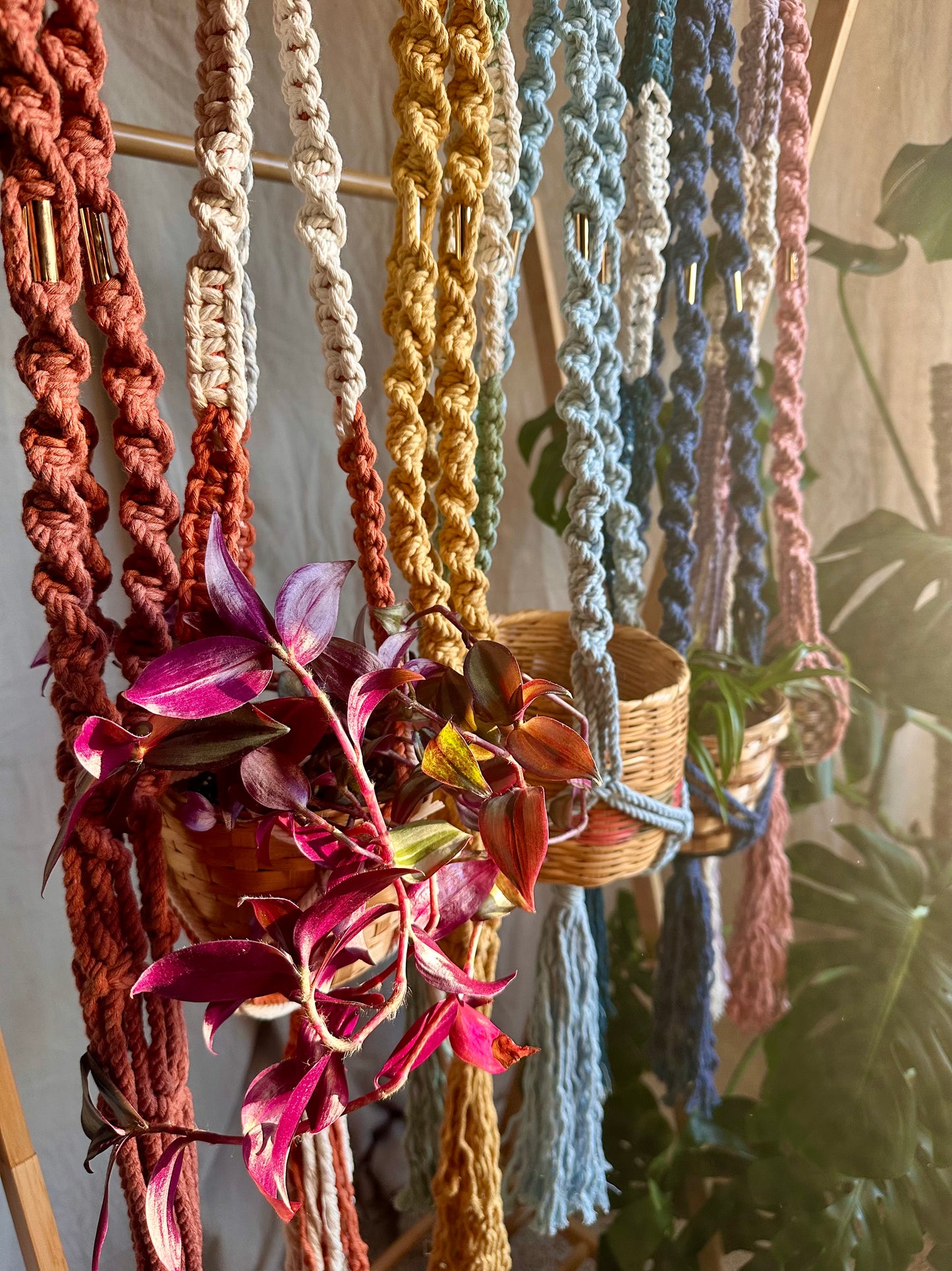Perchas para plantas de macramé