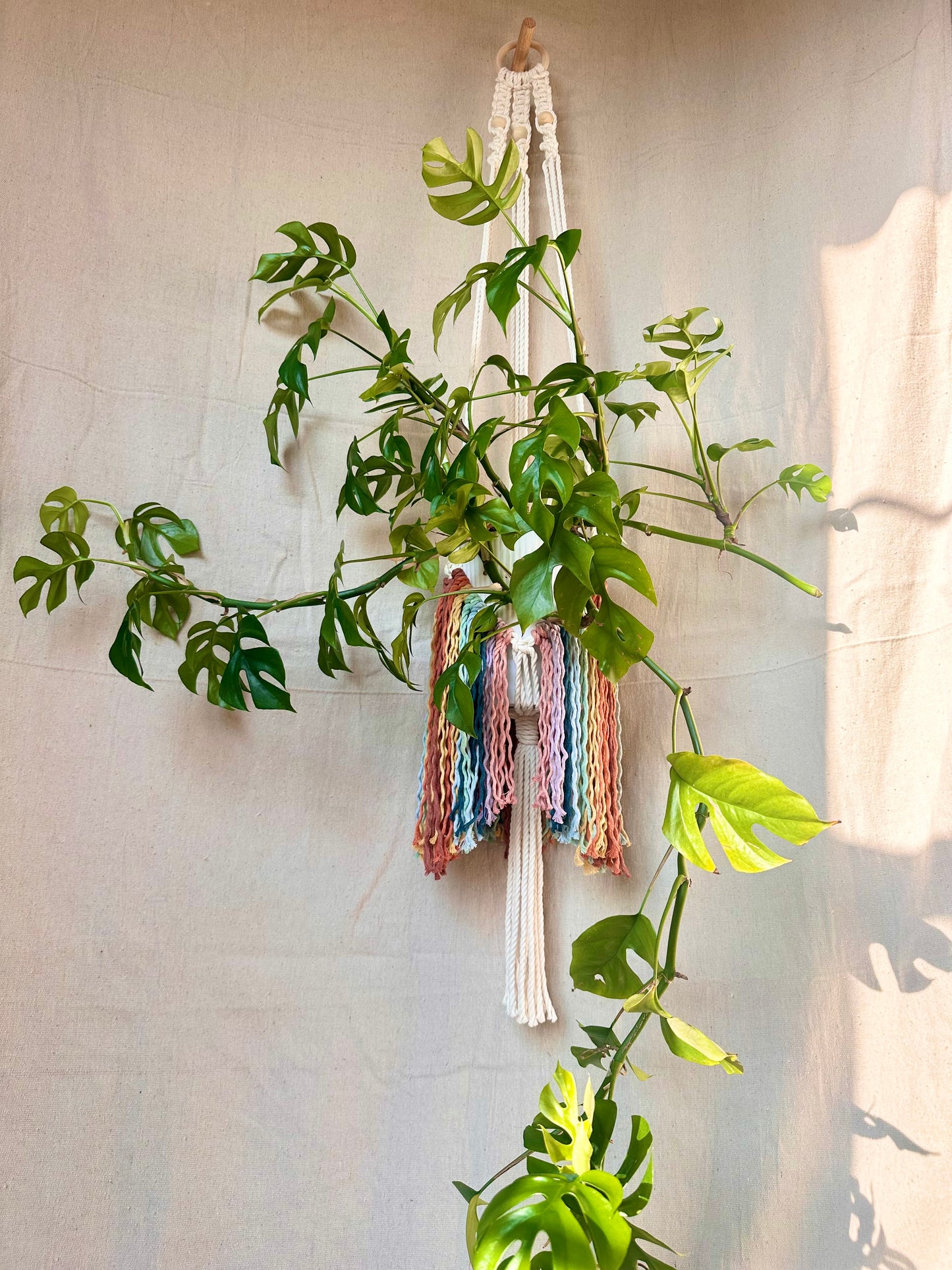 Cintres pour plantes en macramé