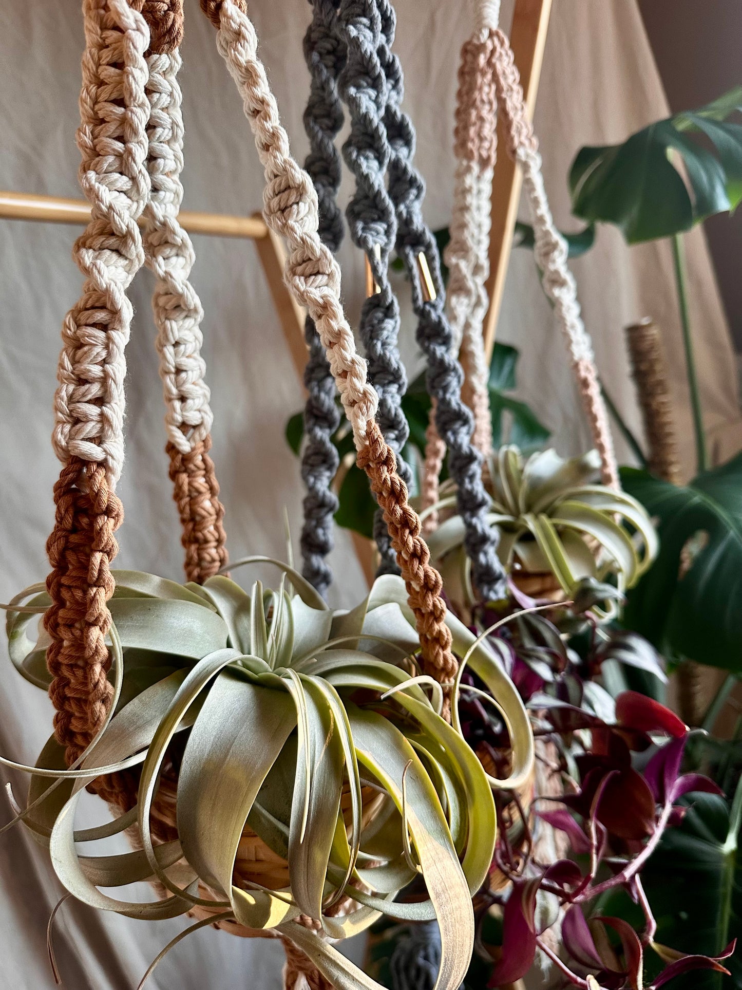 Perchas para plantas de macramé