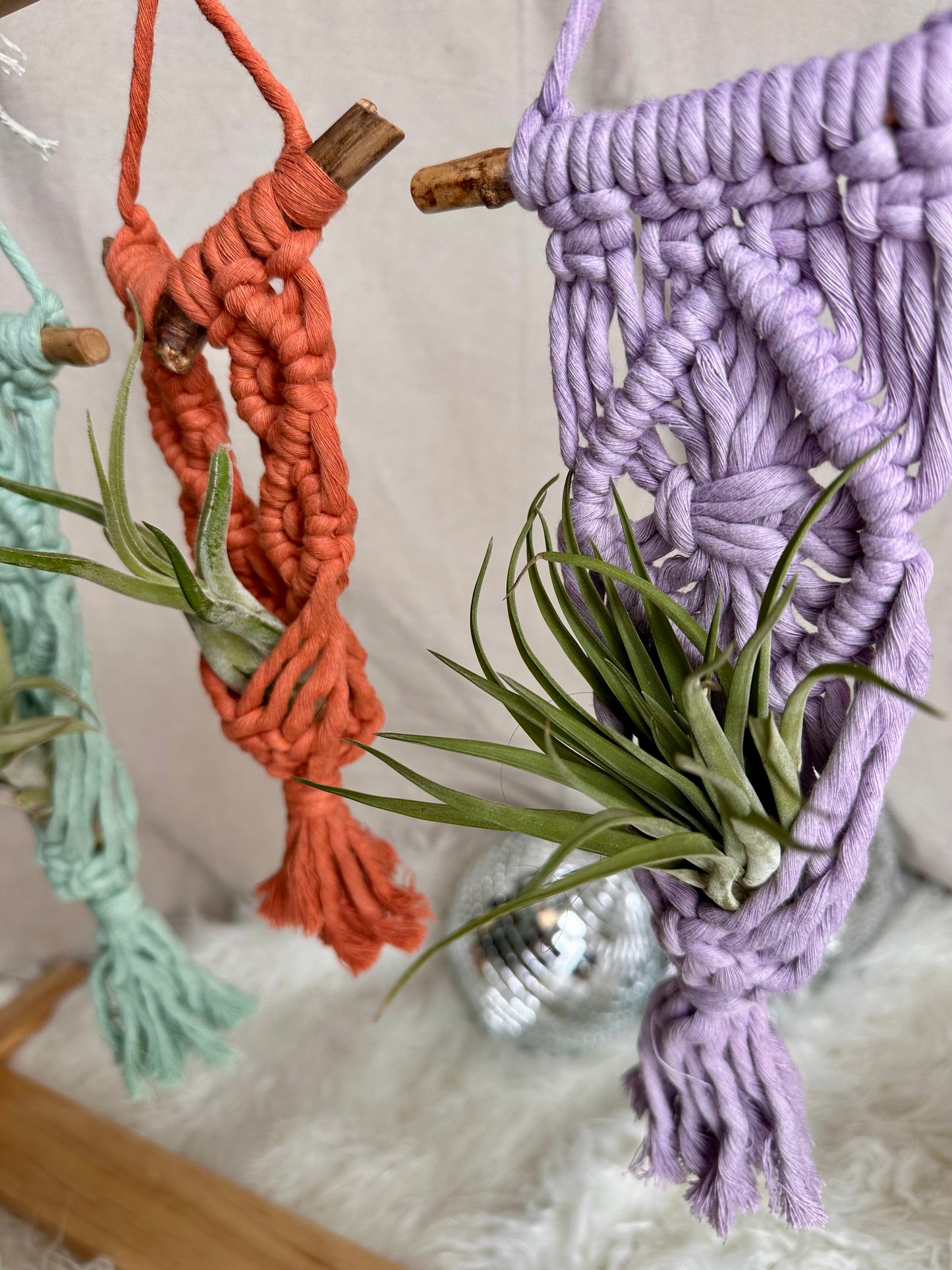 Colgador de macramé para plantas de aire