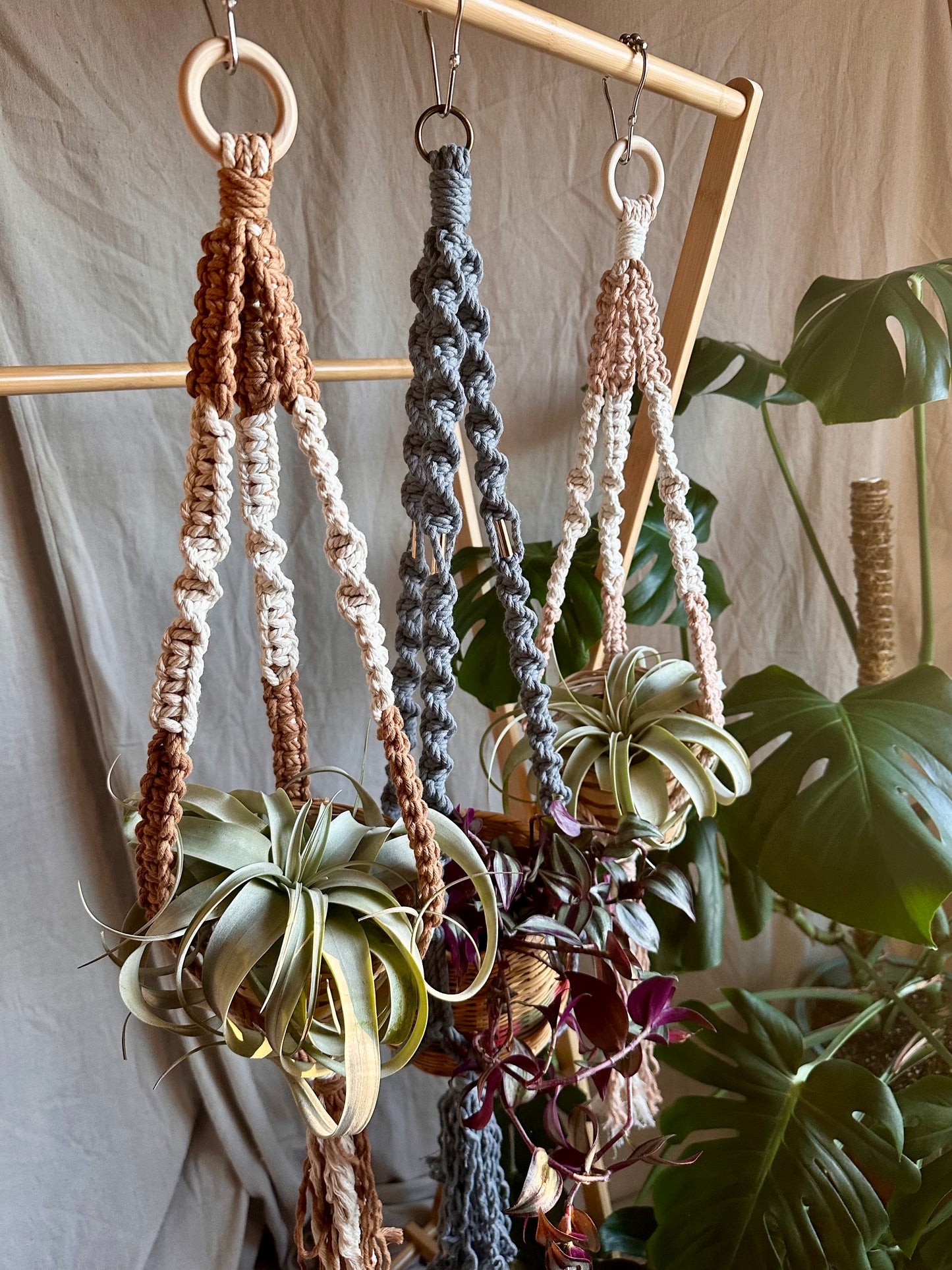 Perchas para plantas de macramé