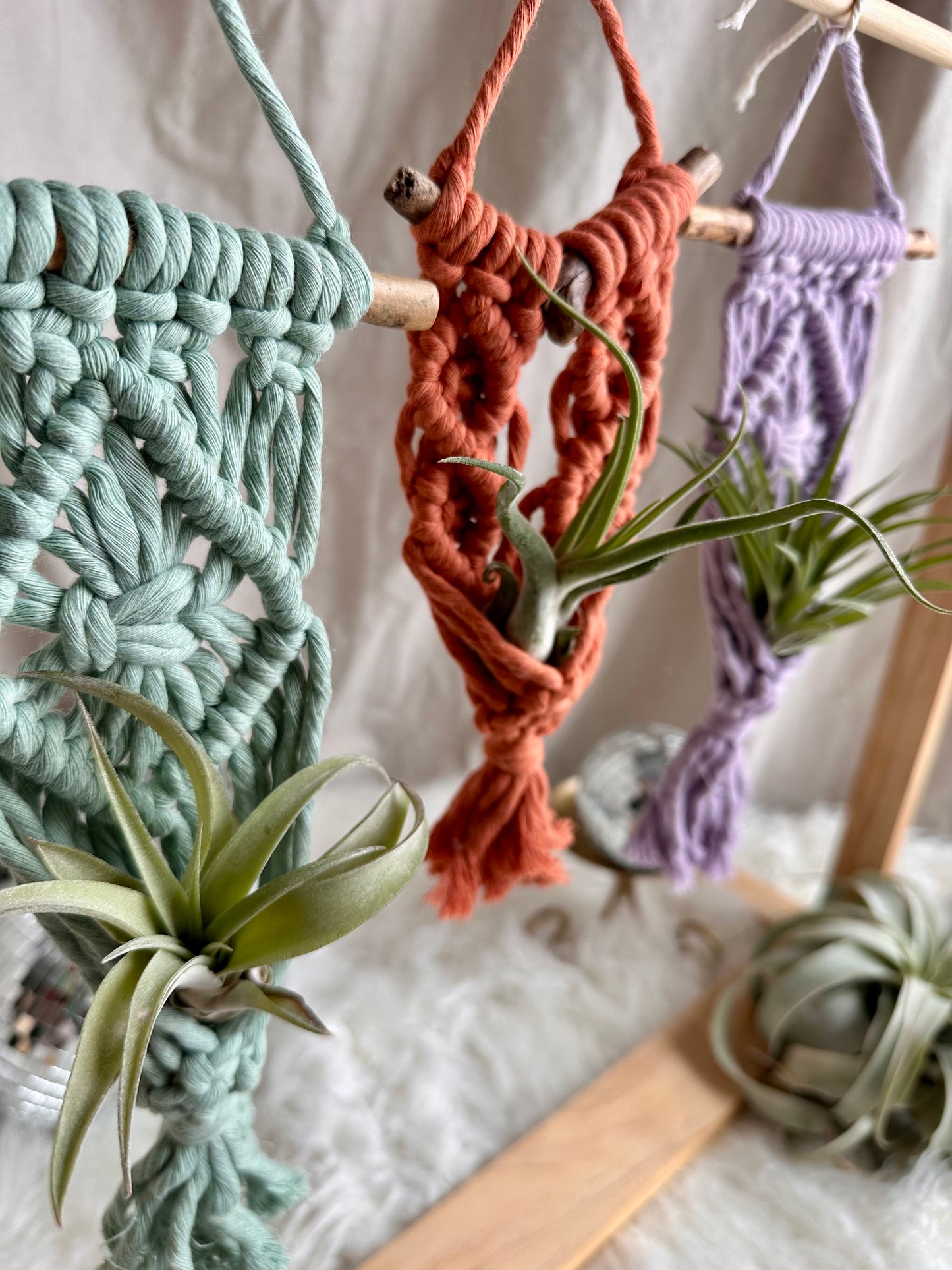 Colgador de macramé para plantas de aire