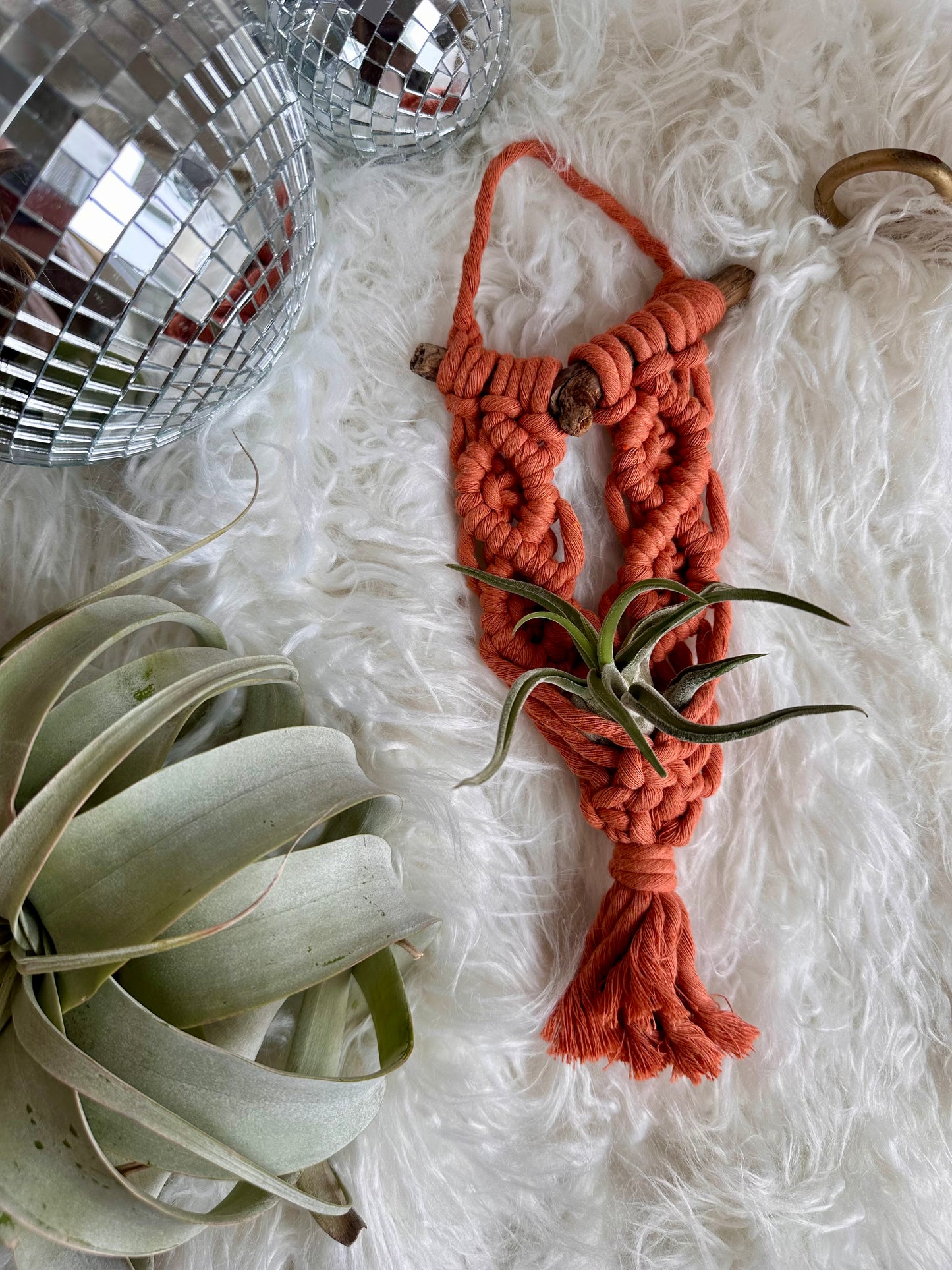 Colgador de macramé para plantas de aire