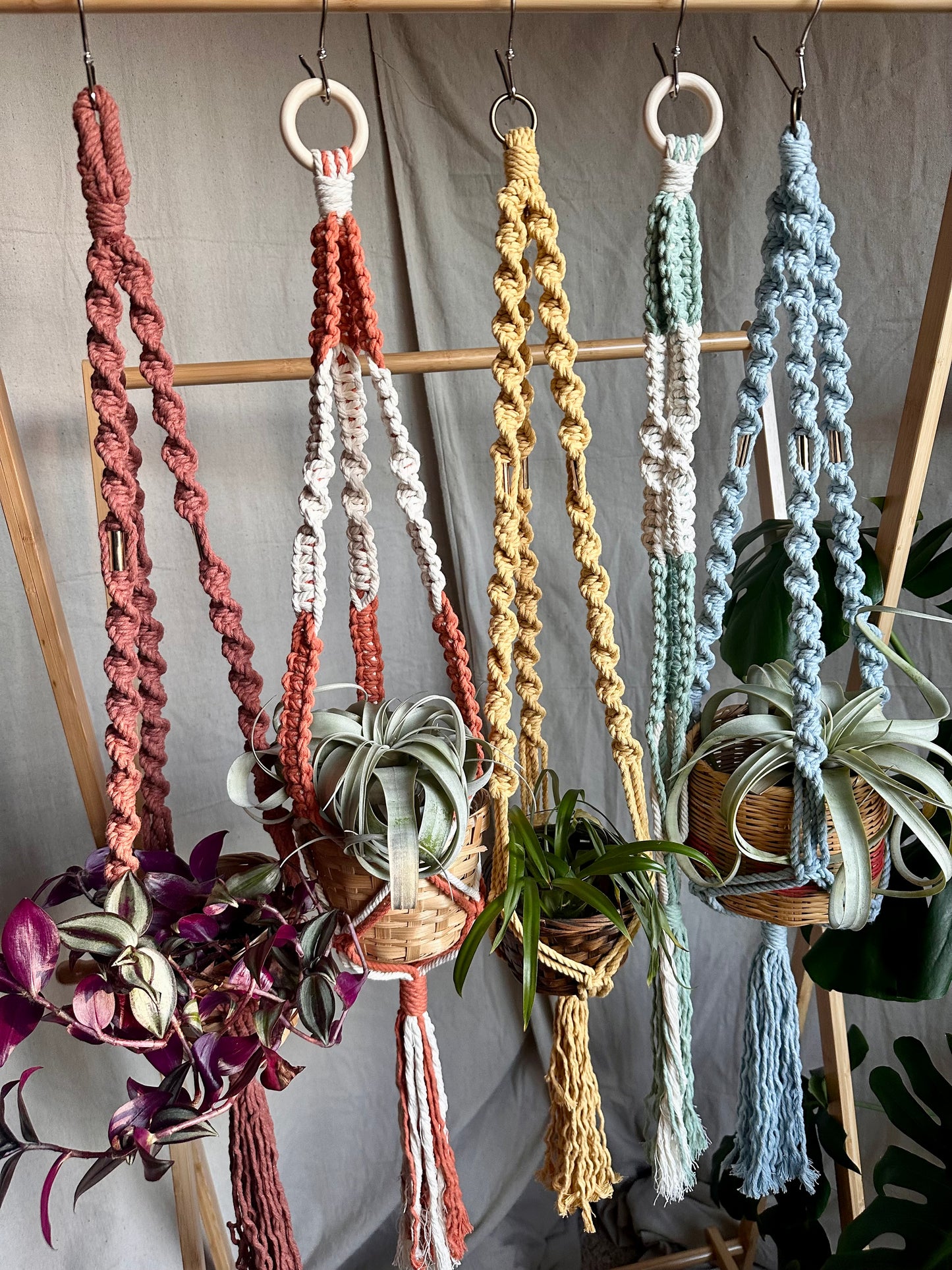 Perchas para plantas de macramé