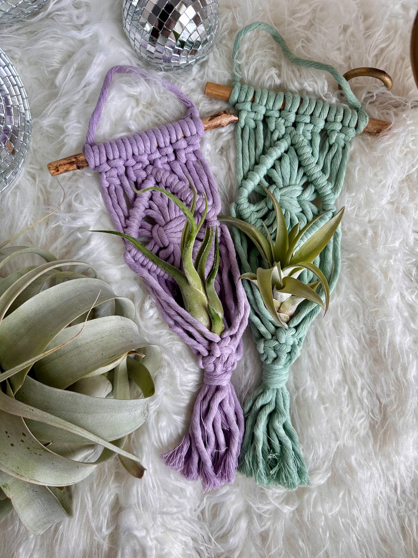 Colgador de macramé para plantas de aire