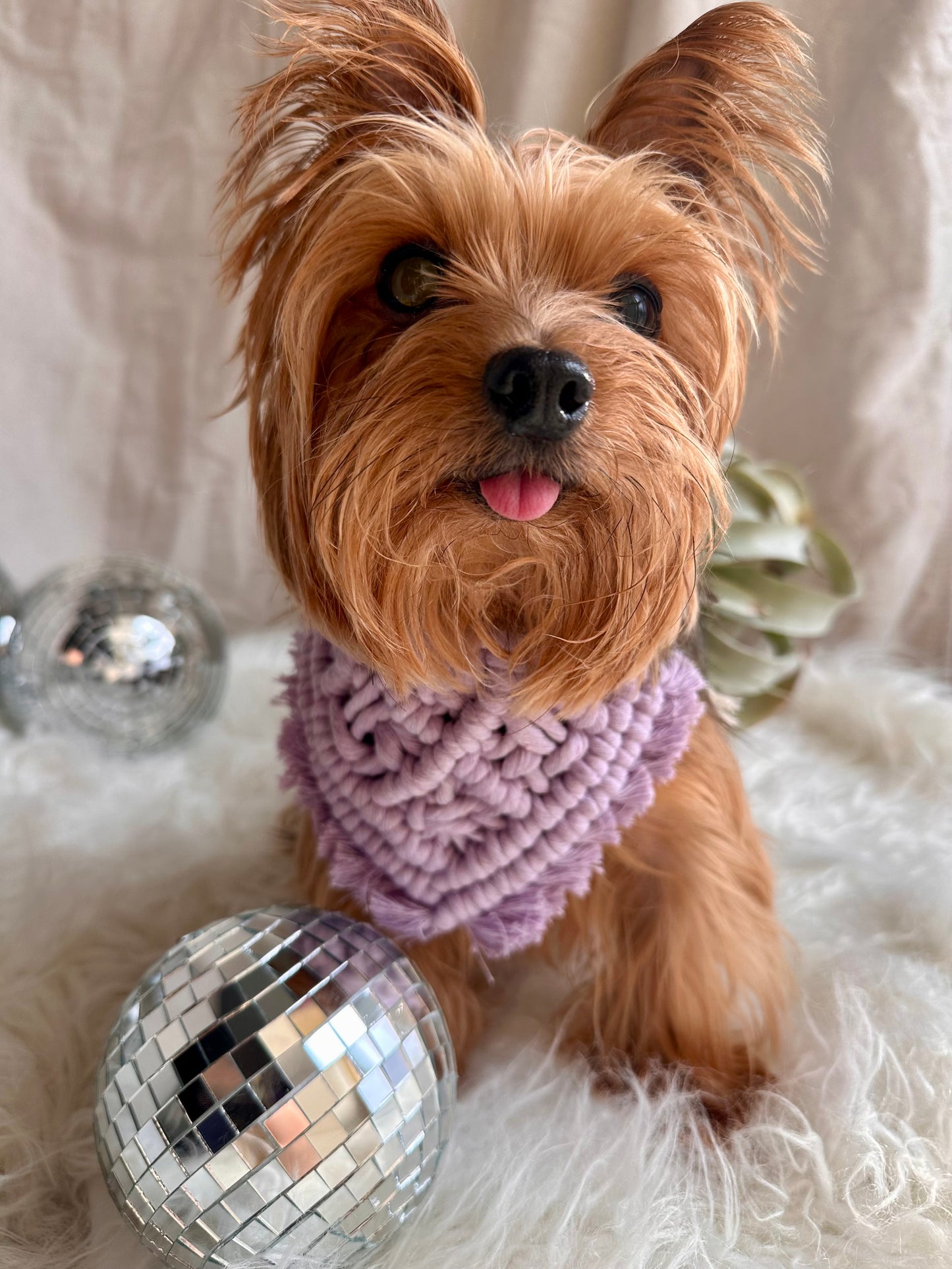 Bandana pour animaux de compagnie Boho en macramé