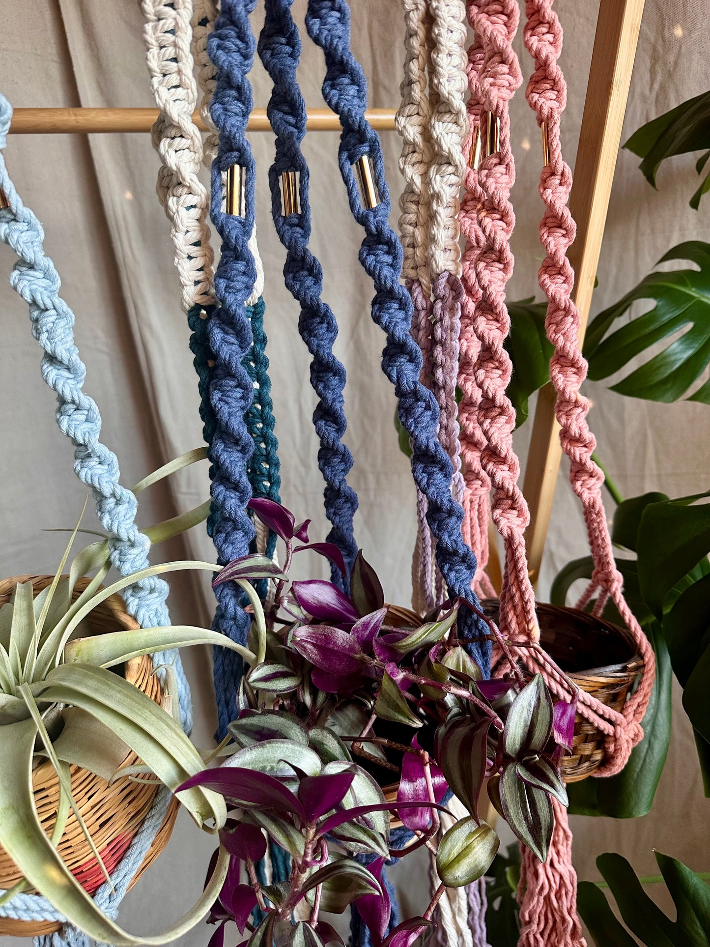 Perchas para plantas de macramé