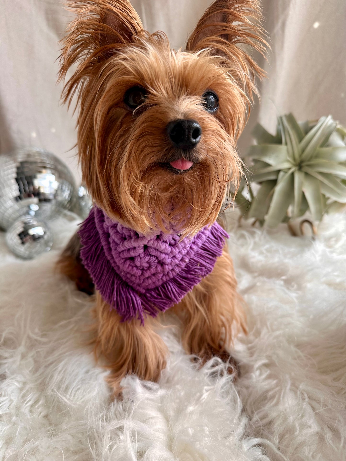 Bandana pour animaux de compagnie Boho en macramé